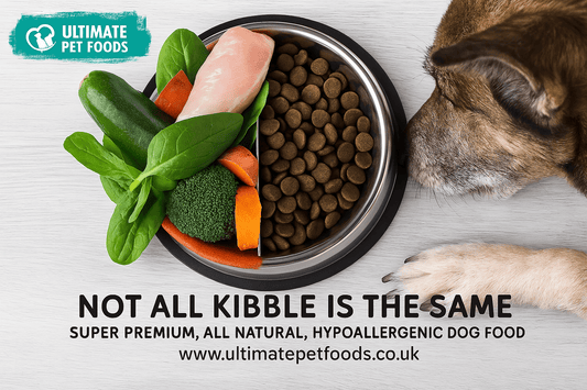 Pea Protein in Dog Food Kibble