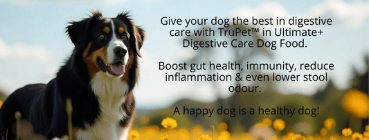 Enhancing-Your-Dog-s-Health-with-TruPet-Added-to-Our-Ultimate-Digestive-Care-Dog-Food Ultimate Pet Foods