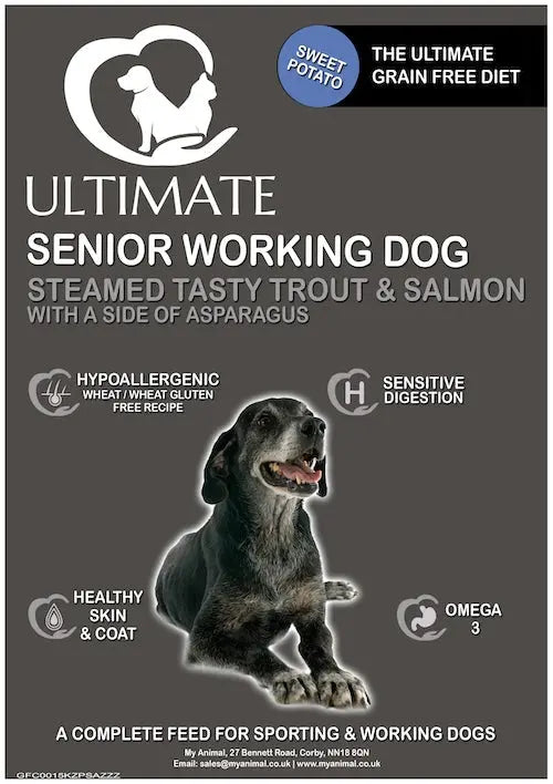 Best Grain Free Steamed Trout & Salmon Feast for Senior Dogs GA