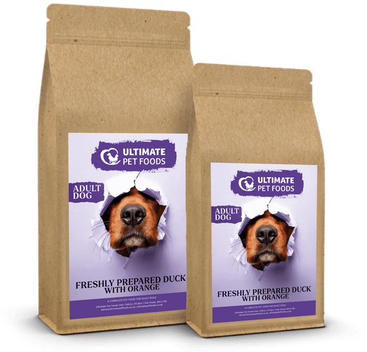 Two brown pet food bags with purple labels featuring a dog's face on a white background.