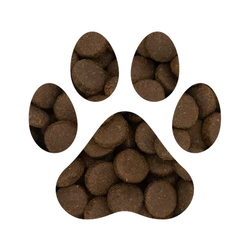 Large Breed Dog Food - Grain Free - Gut Friendly - with Prebiotics