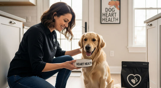 dog food heart health