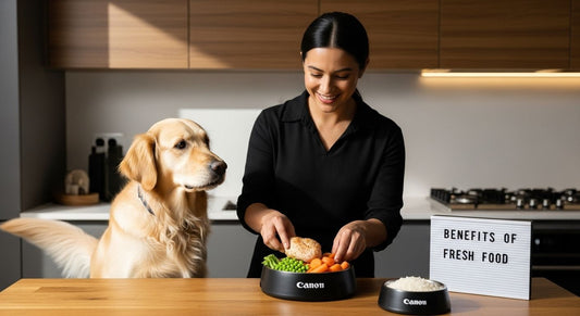 fresh dog food preparation