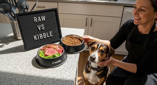raw kibble comparison dog