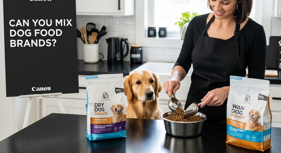 mix dog food process