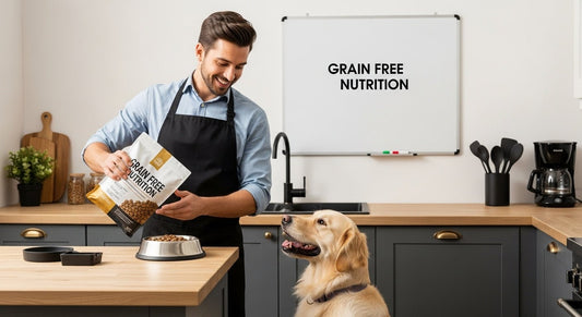 dog owner grain free