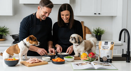 small breed dog food, pet nutrition, owners feeding dogs