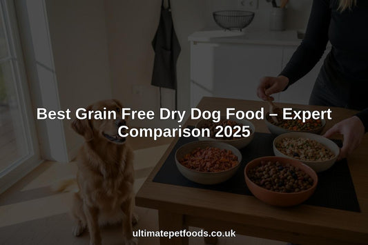 grain free dry dog food hero header image