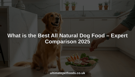 what is the best all natural dog food hero header image