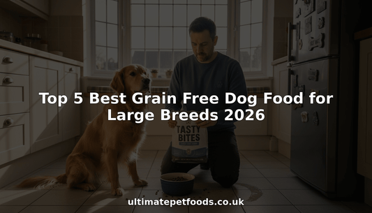 Owner pours grain free food for large dog