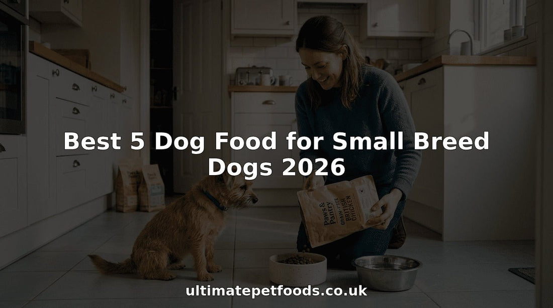 Small dog and owner preparing healthy food