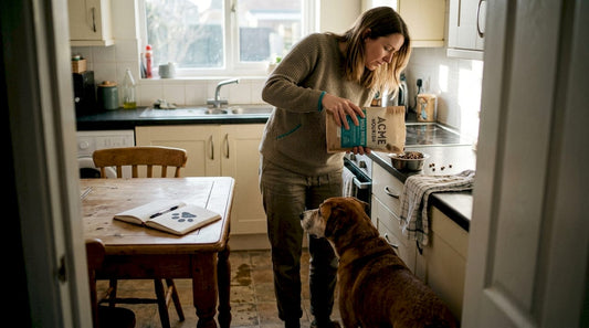 Owner feeding sensitive dog single protein food