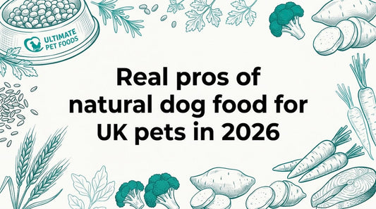 Decorative hand-drawn natural dog food title card