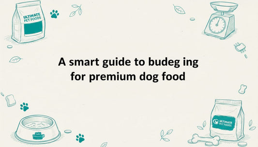 Decorative title card illustration for premium dog food budgeting