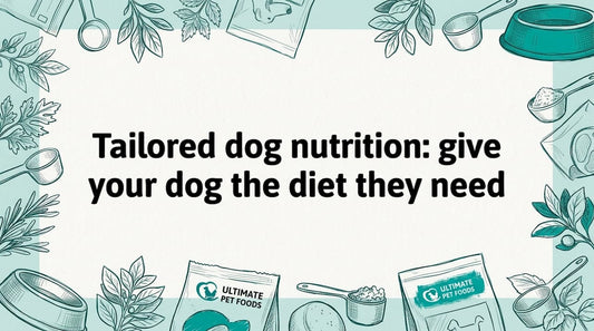 Hand-drawn dog nutrition title card illustration