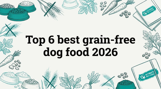 Hand-drawn dog food, kibble, and botanicals frame for title card