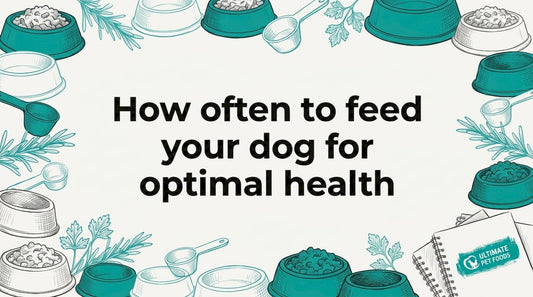 Decorative title card with dog bowls and scoops framing