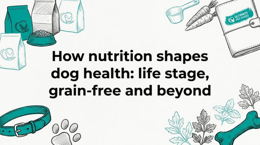 Decorative title card with dog nutrition illustrations at corners