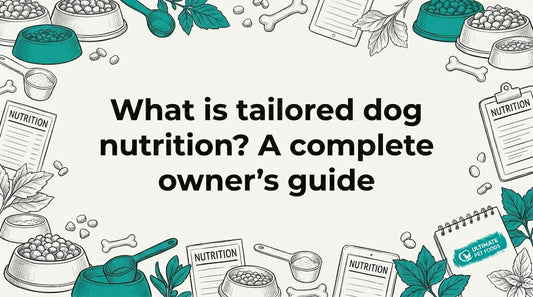 Hand-drawn decorative frame for nutrition title card