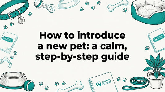 Decorative title card with hand-drawn pet items framing center