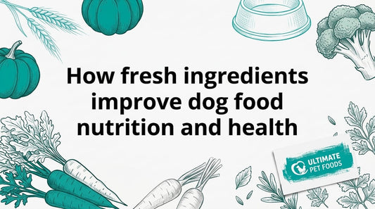 Hand-drawn dog food ingredient title card illustration