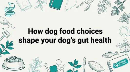 Blog title card surrounded by hand-drawn pet food elements
