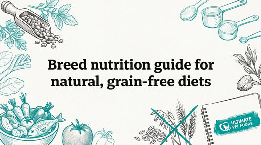 Decorative dog diet ingredients frame around title