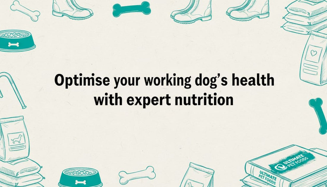 Decorative title card with working dog nutrition motifs