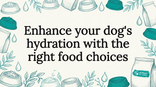 Title card with hand-drawn hydration props framing text