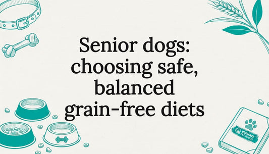 Decorative title card with hand-drawn dog bowls, collar, and botanicals