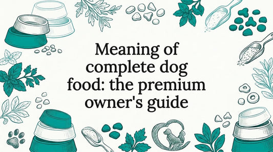 Decorative dog food themed title card illustration