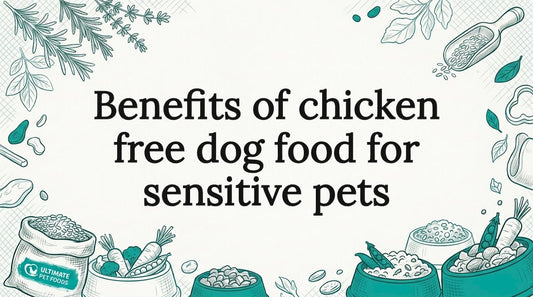Hand-drawn title card with dog food bowls and botanicals
