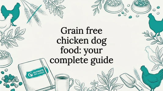 Decorative illustrated title-card with chicken, kibble, botanicals