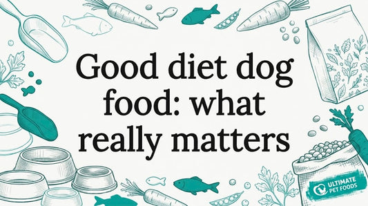 Decorative pencil sketch dog food title card