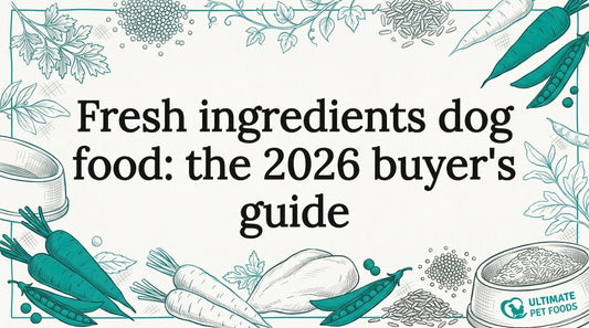 Hand-drawn dog food ingredients title card illustration