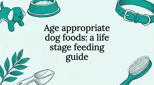 Decorative hand-drawn title card with dog care props surrounding a clear center