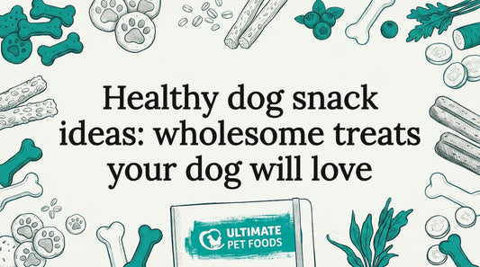 Decorative dog snack title card illustration