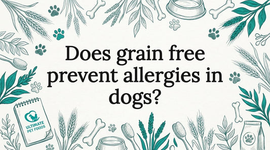 Decorative title card with natural pet elements