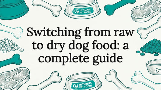 Decorative title card for dog food article