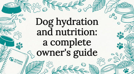 Decorative title card illustration with dog nutrition theme