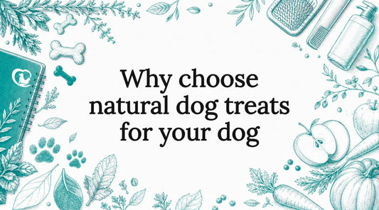 Decorative title card with natural dog treat illustrations