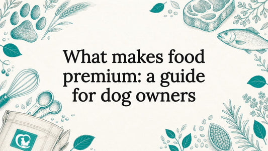 Decorative hand-drawn title card with dog food ingredients
