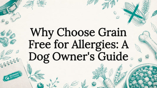 Decorative title card illustration for dog allergy article