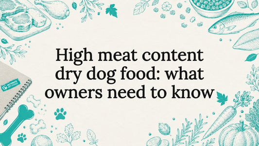 Decorative title card illustration with dog food themed sketches