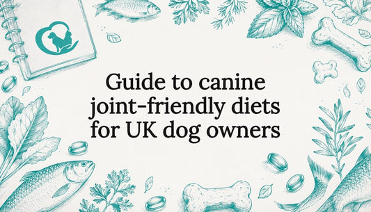 Decorative title card illustration for dog joint diet guide