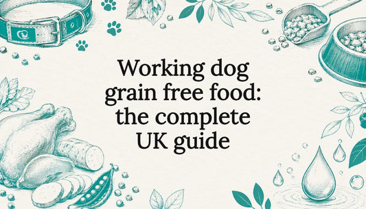 Decorative title card illustration for working dog grain-free food article