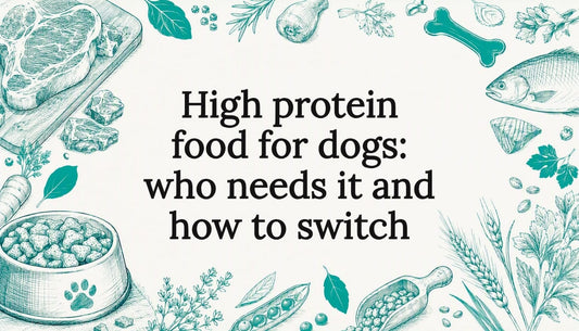 Decorative sketch title card with dog nutrition motifs