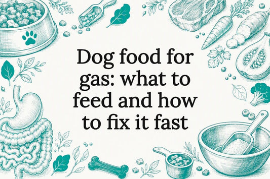 Decorative title card illustration for dog food and digestion