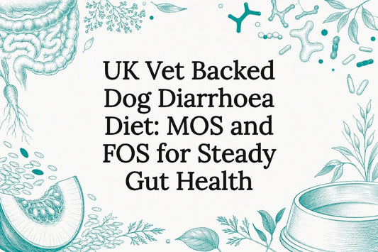 Decorative dog digestive health title card