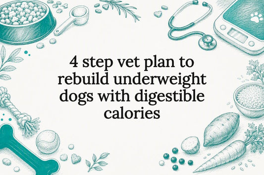 Sketch title card for underweight dog nutrition